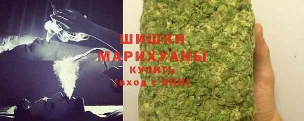 СК Каменногорск
