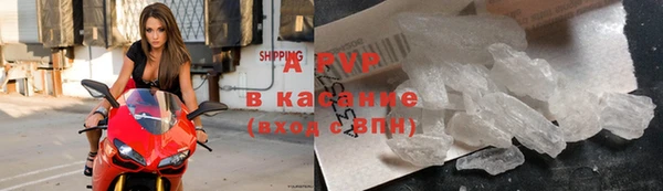 СК Каменногорск