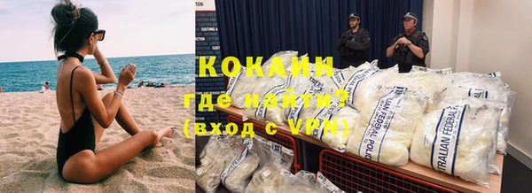 СК Каменногорск